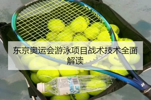 东京奥运会游泳项目战术技术全面解读